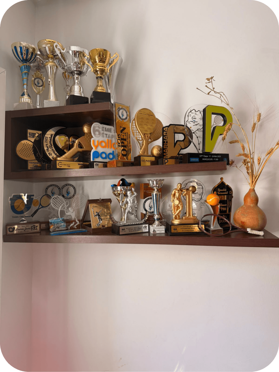 Fedi Mlika trophies and achievement